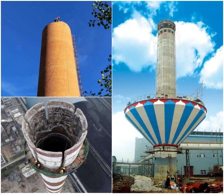 1731491475653824.jpg 10.jpg