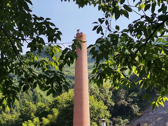 1738318684333518.jpg 410eb545e063de31f1e7678bd51906e.jpg